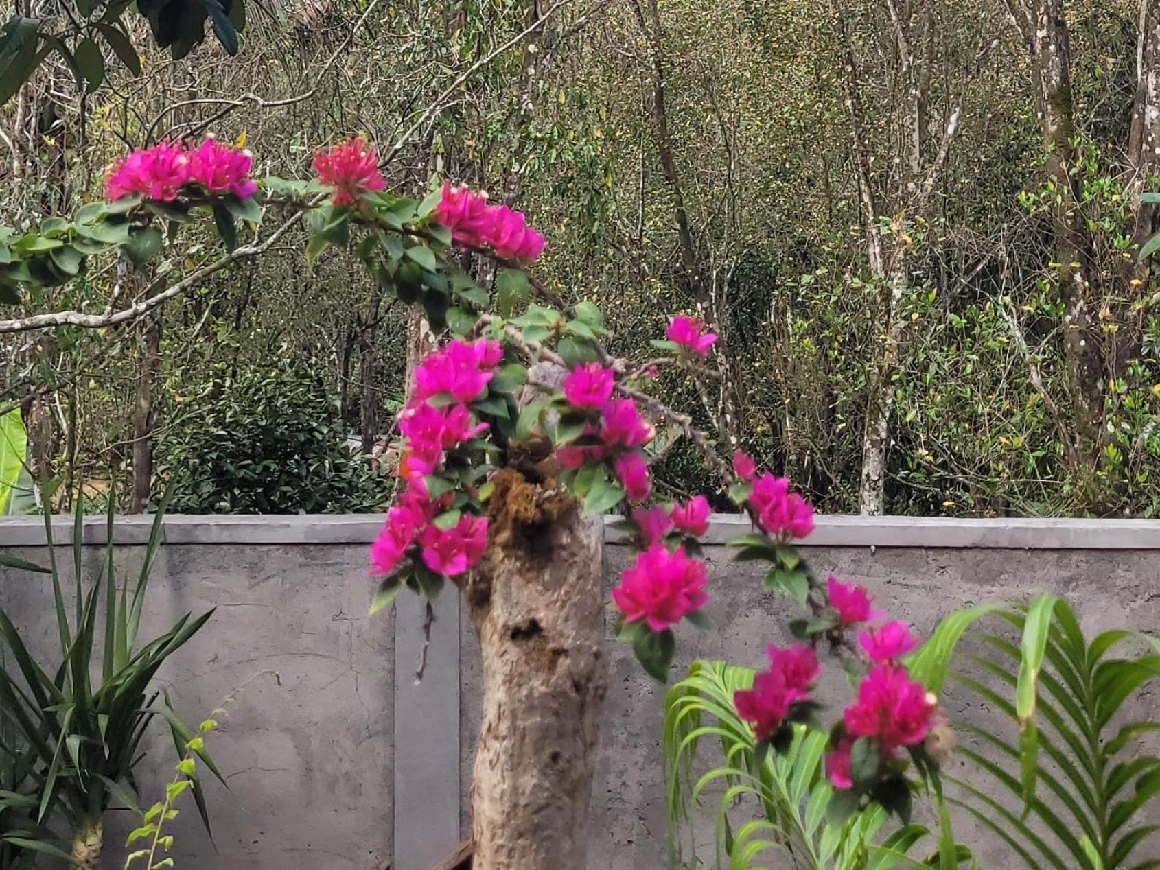 Appartamento Umah Yugadi Bali Munduk Esterno foto