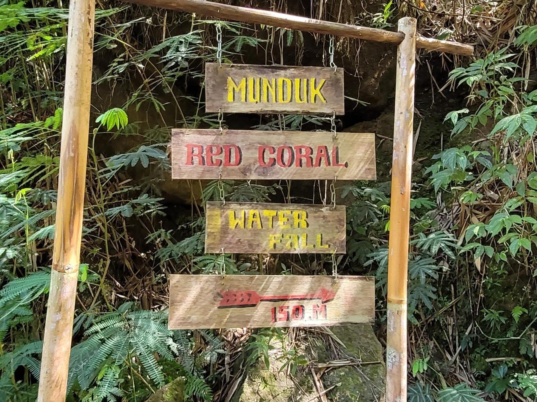 Appartamento Umah Yugadi Bali Munduk Esterno foto