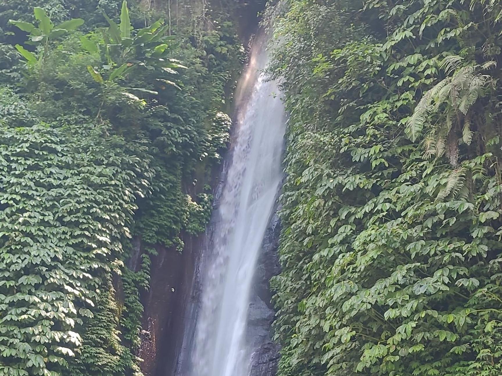 Appartamento Umah Yugadi Bali Munduk Esterno foto